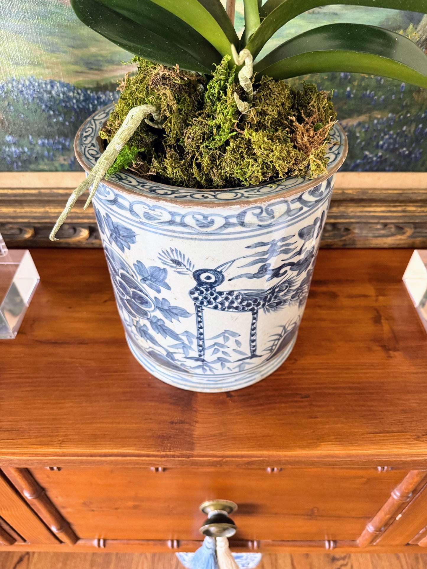 Jardin des Oiseaux Orchid Cache Pot