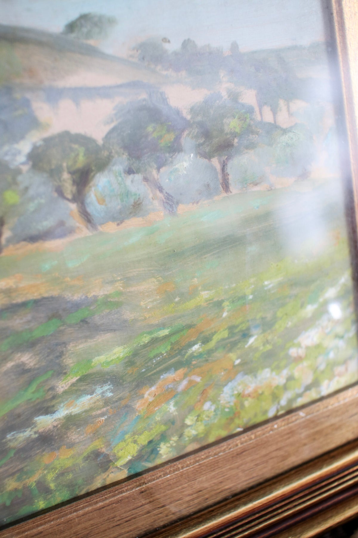 Italian Olive Grove Painting