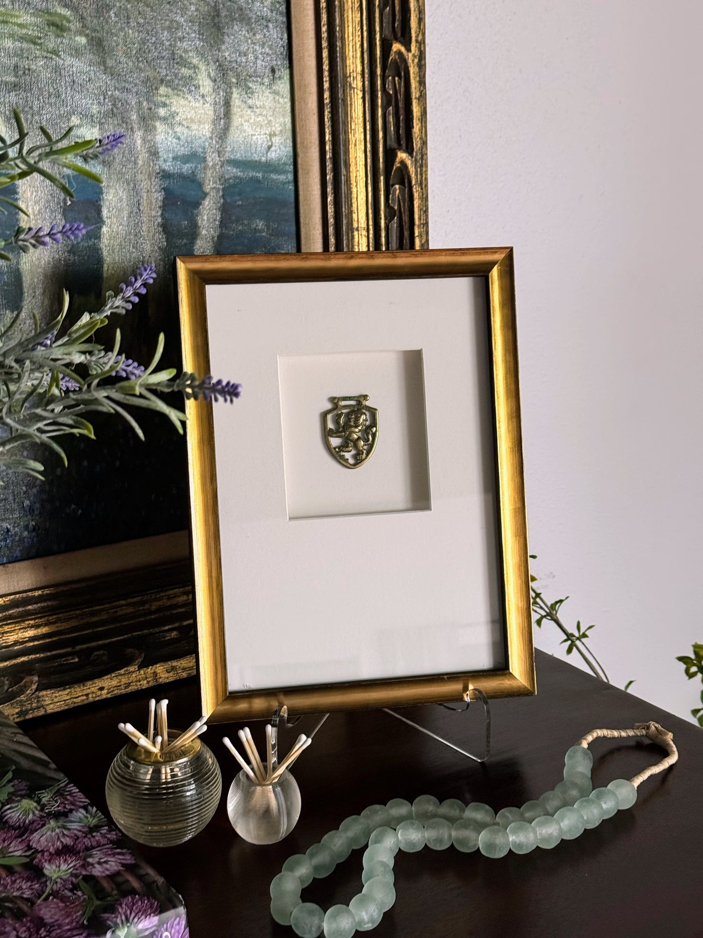 Framed English Horse Brasses