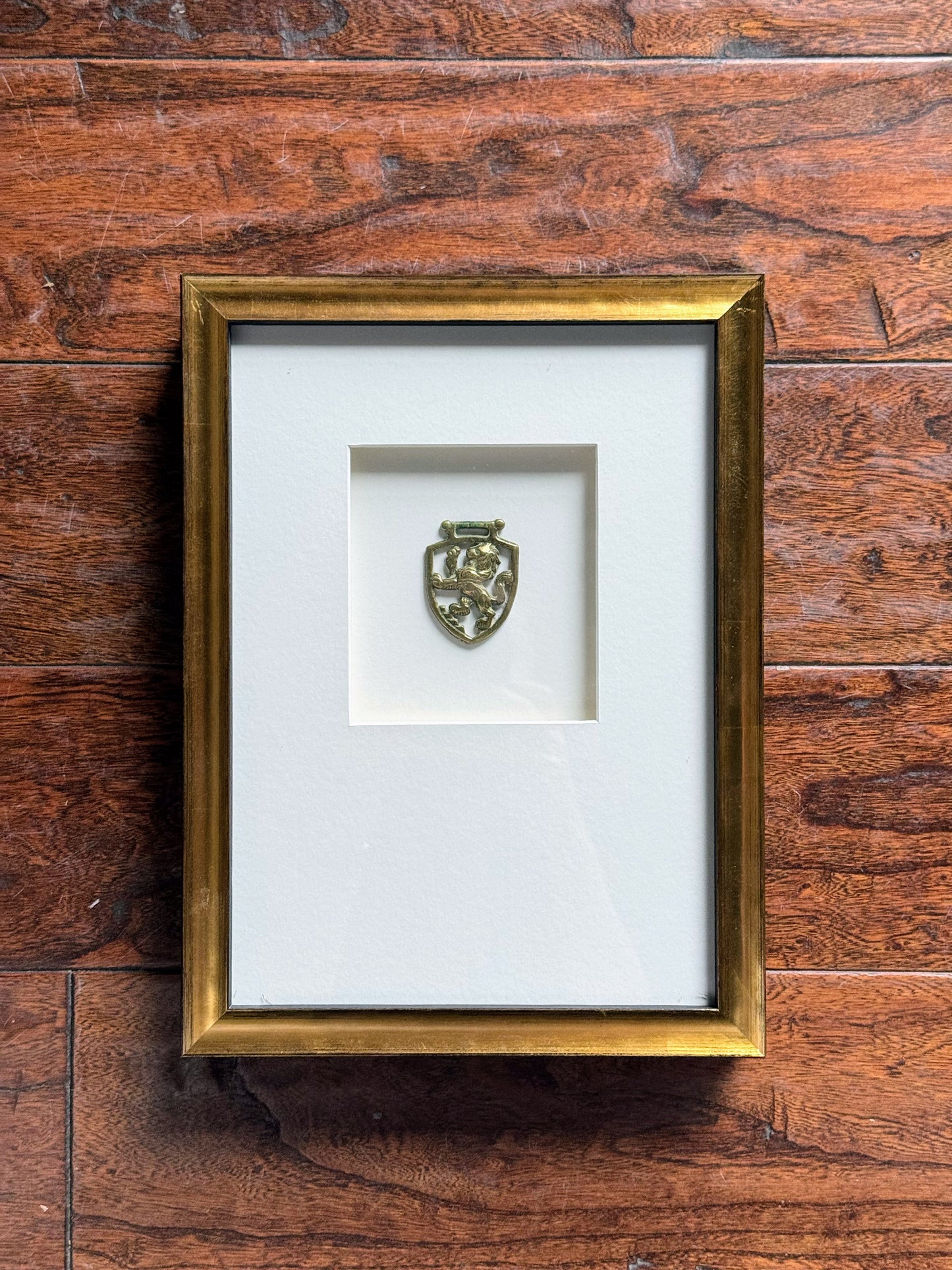 Framed English Horse Brasses