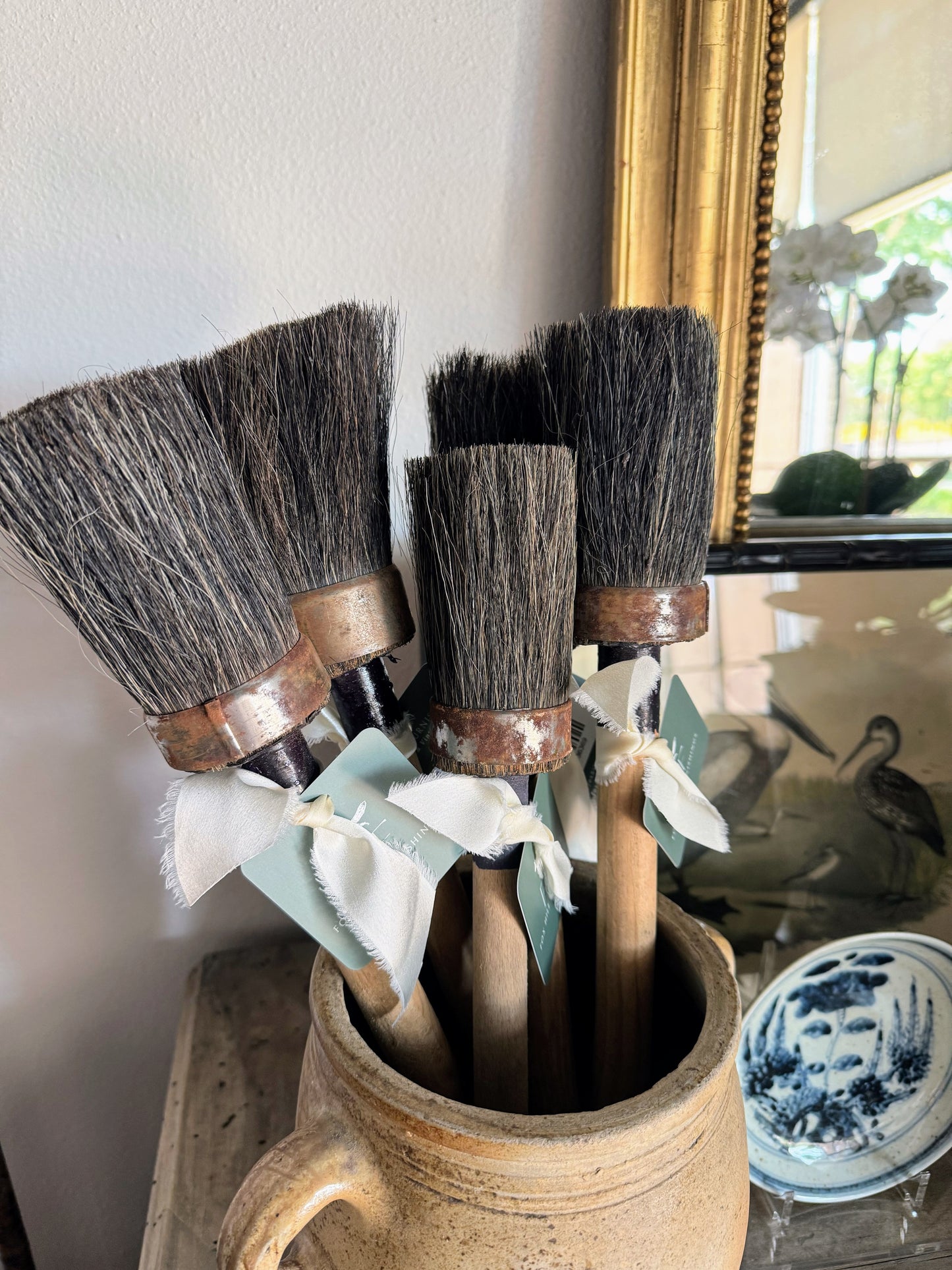 French Paintbrush