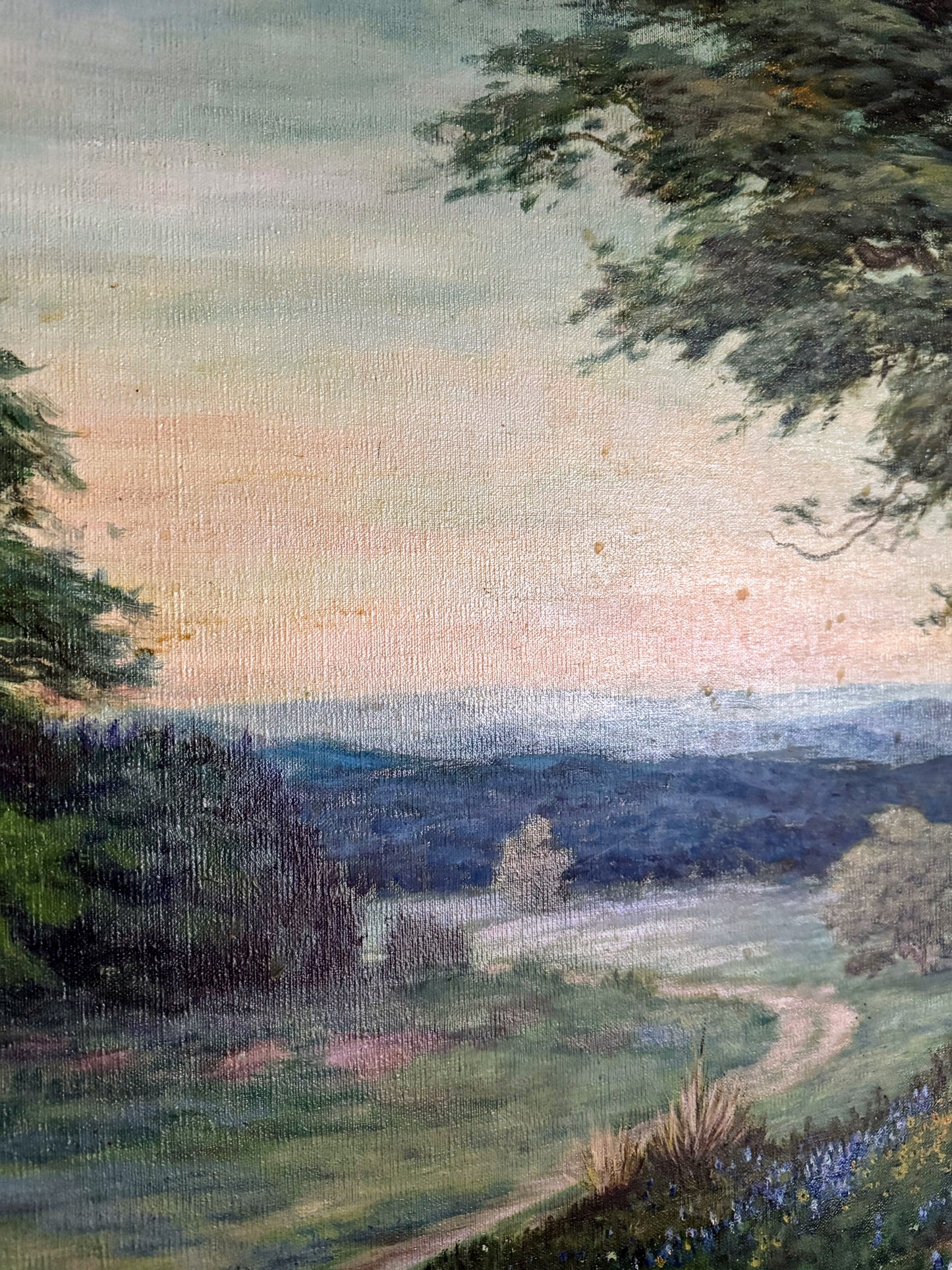 Signed Painting of Texas Bluebonnets