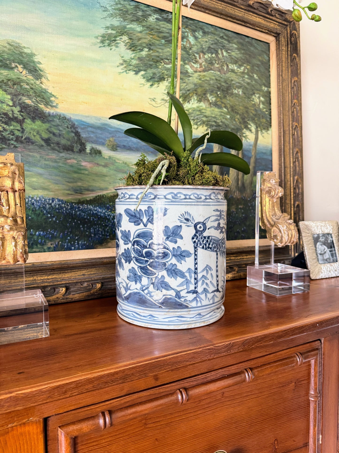 Jardin des Oiseaux Orchid Cache Pot