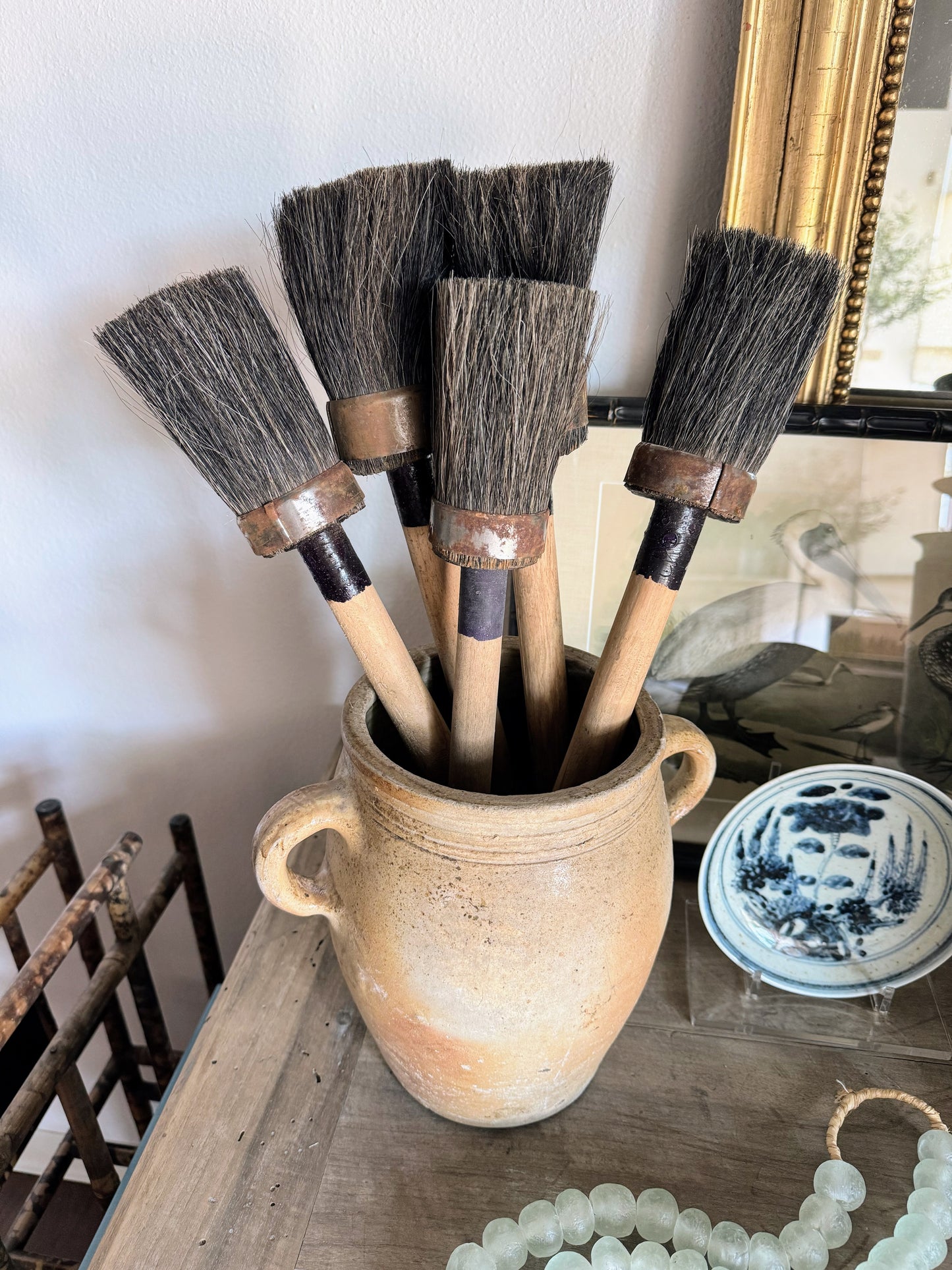 French Paintbrush