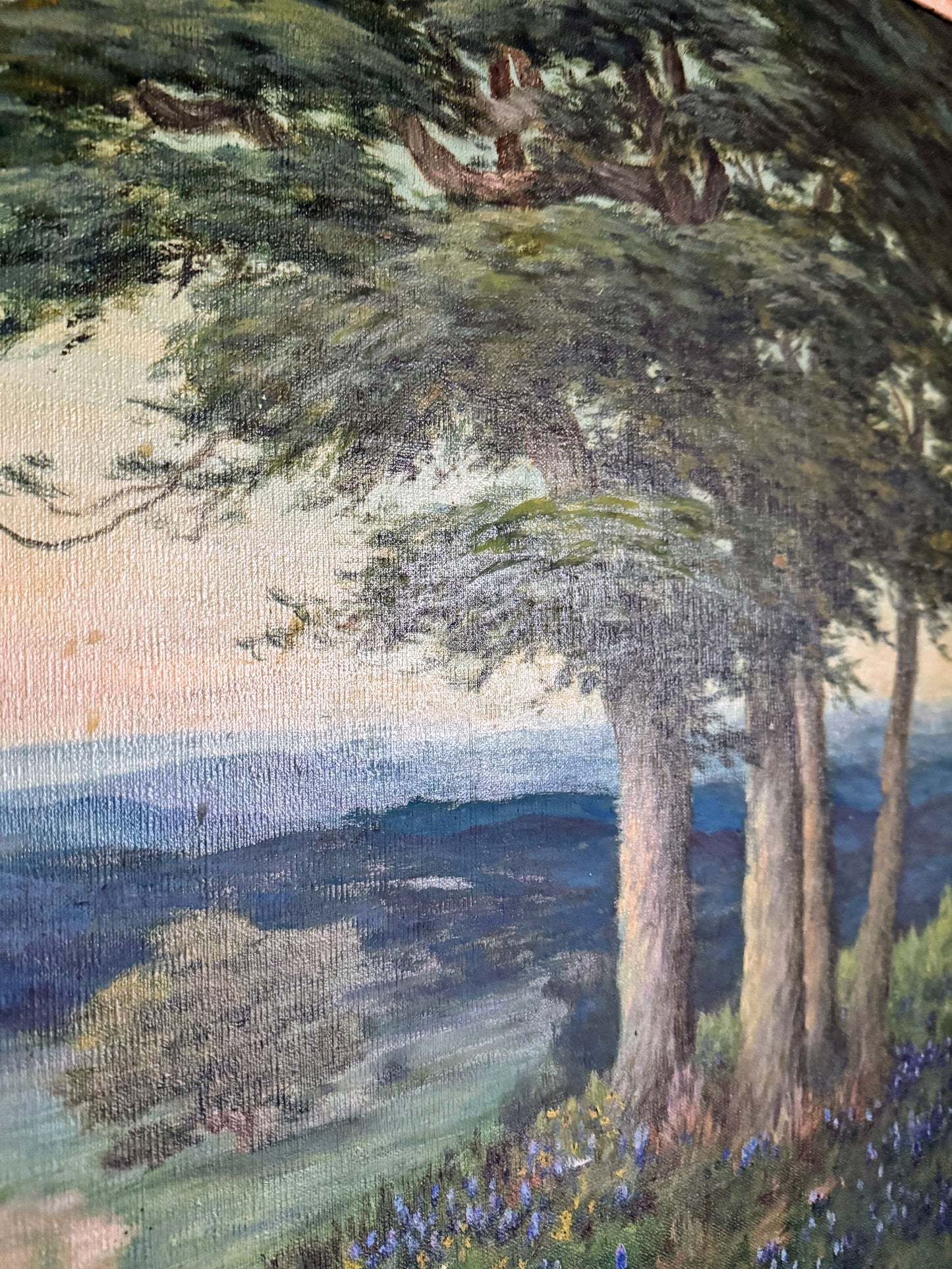 Signed Painting of Texas Bluebonnets
