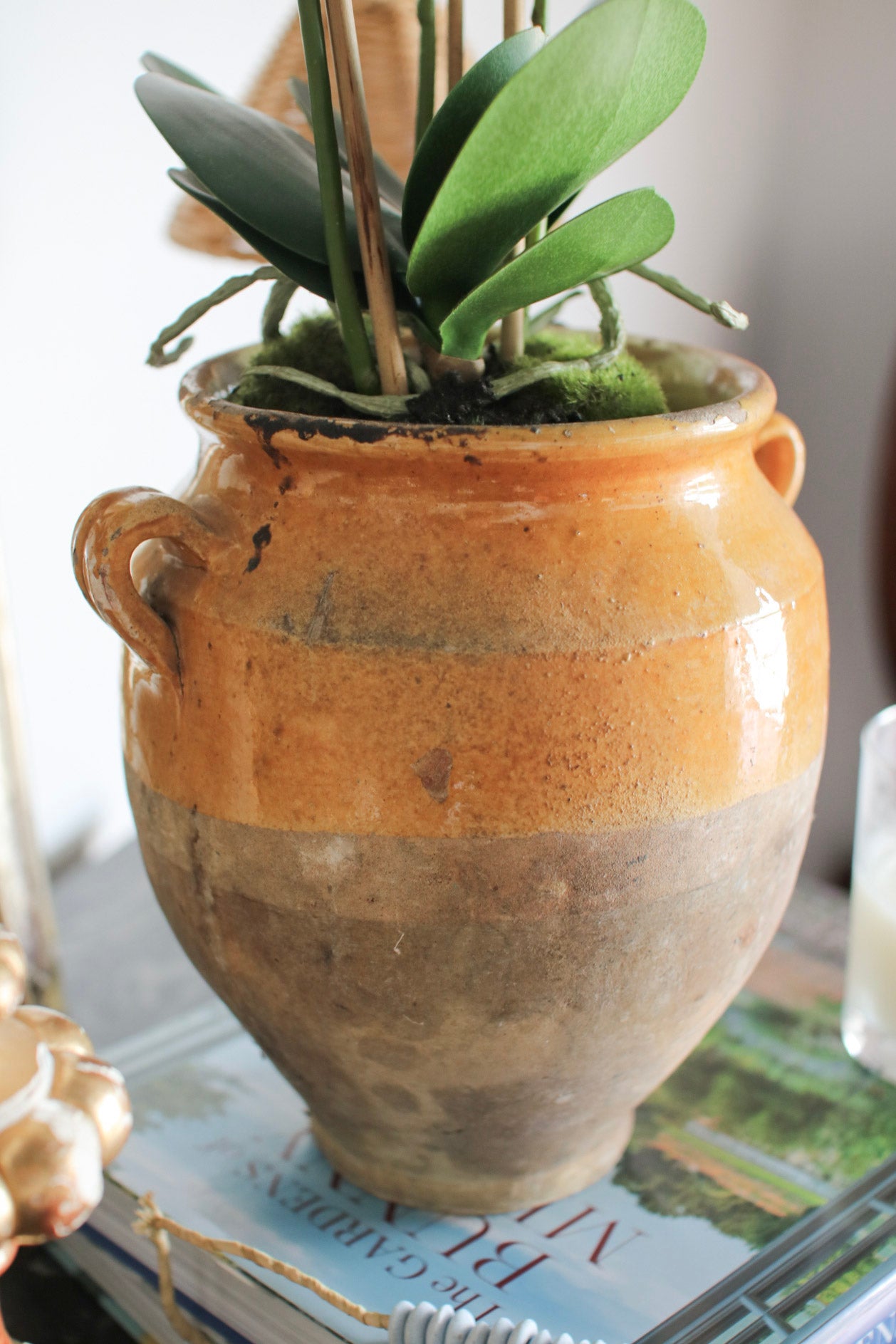 French Confit Pot