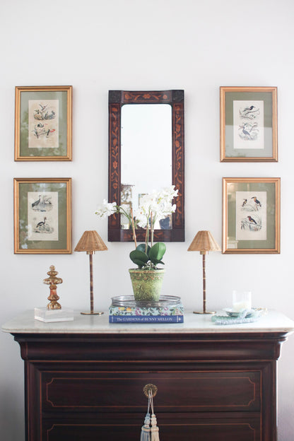 Set of Four French Bird Prints