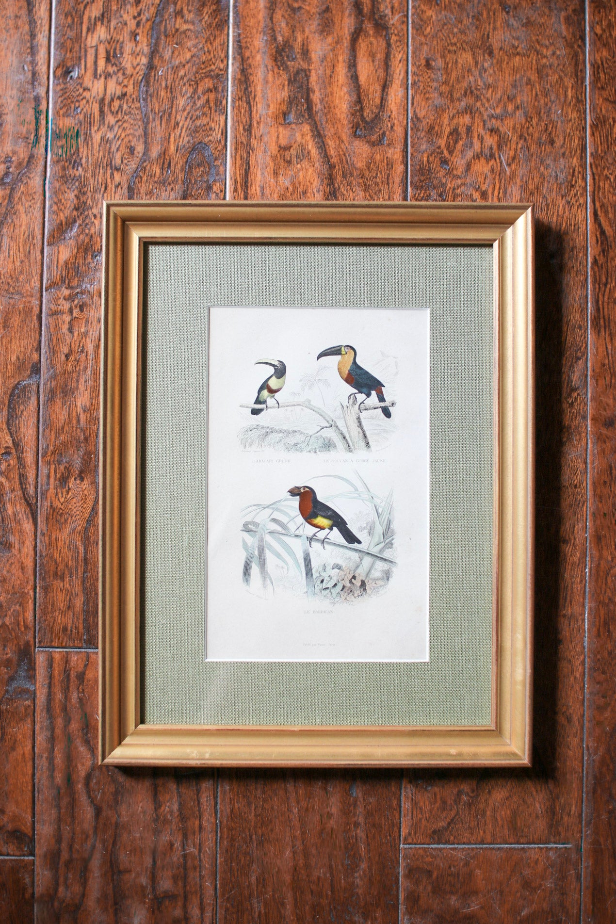 Set of Four French Bird Prints