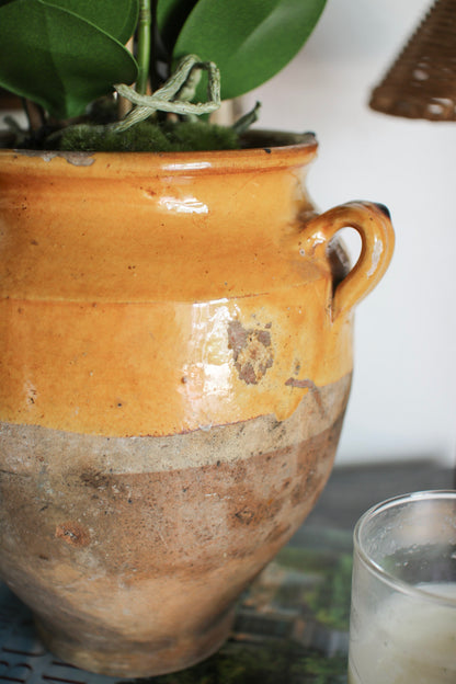 French Confit Pot