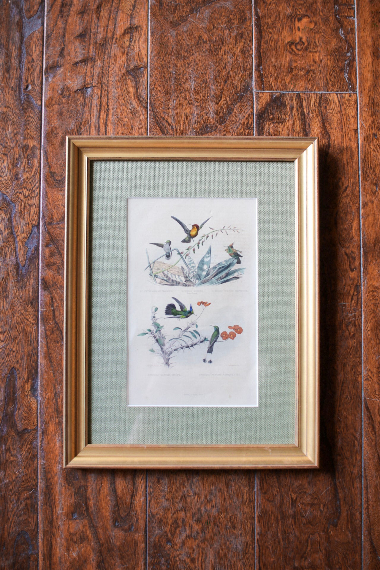 Set of Four French Bird Prints