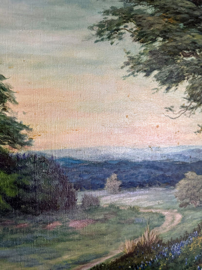 Signed Painting of Texas Bluebonnets