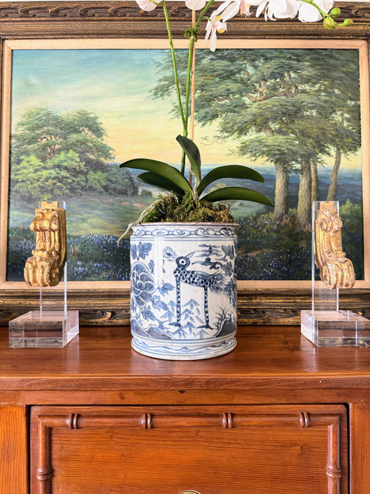 Jardin des Oiseaux Orchid Cache Pot
