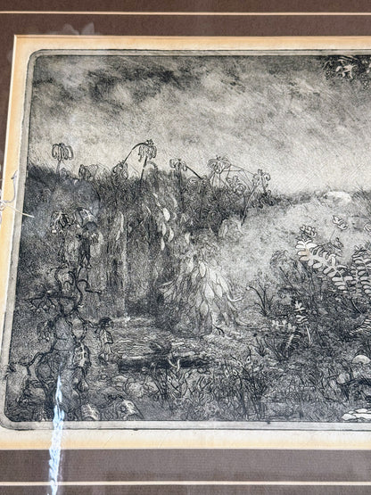 Framed Landscape Print