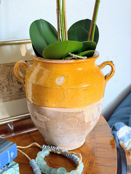 French Confit Jar