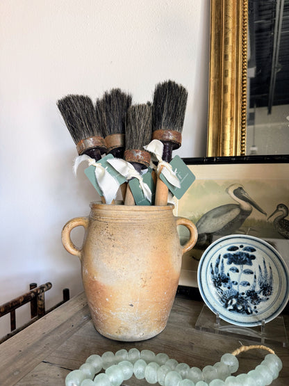 French Paintbrush