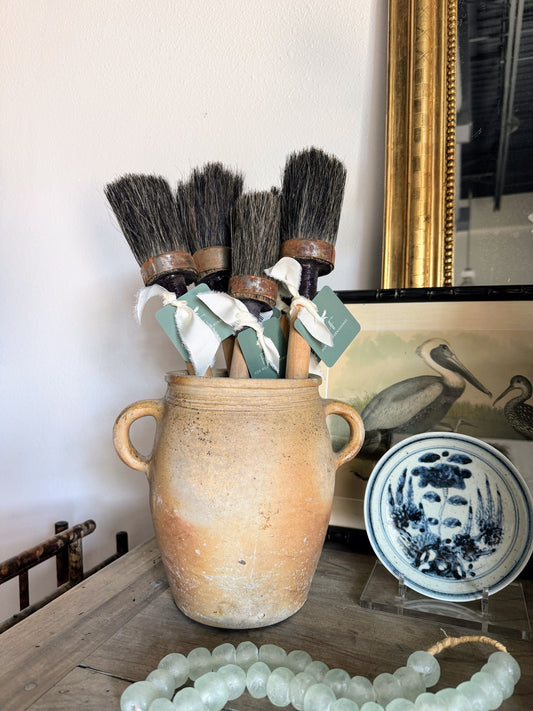 French Paintbrush