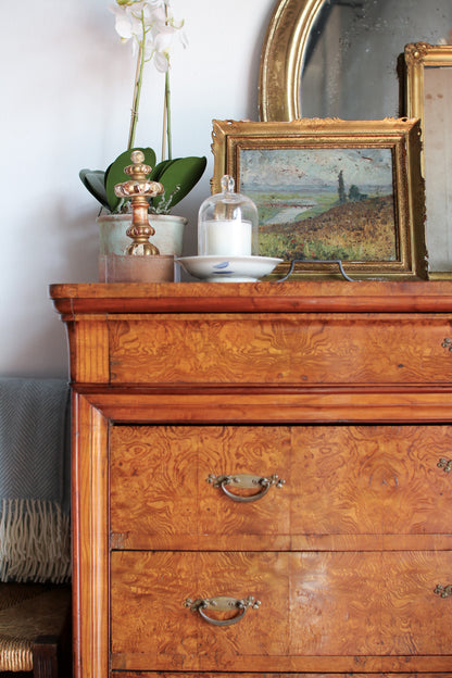 Antique Burled Italian Chest